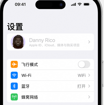 融水appleID维修服务iPhone设置中Apple ID显示为灰色无法使用 