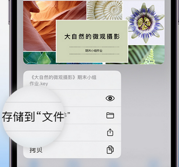 融水apple维修中心分享iPhone文件应用中存储和找到下载文件