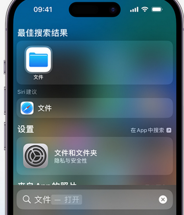 融水apple维修中心分享iPhone文件应用中存储和找到下载文件