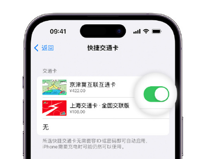 融水apple维修点分享iPhone上更换Apple Pay快捷交通卡手绘卡面 