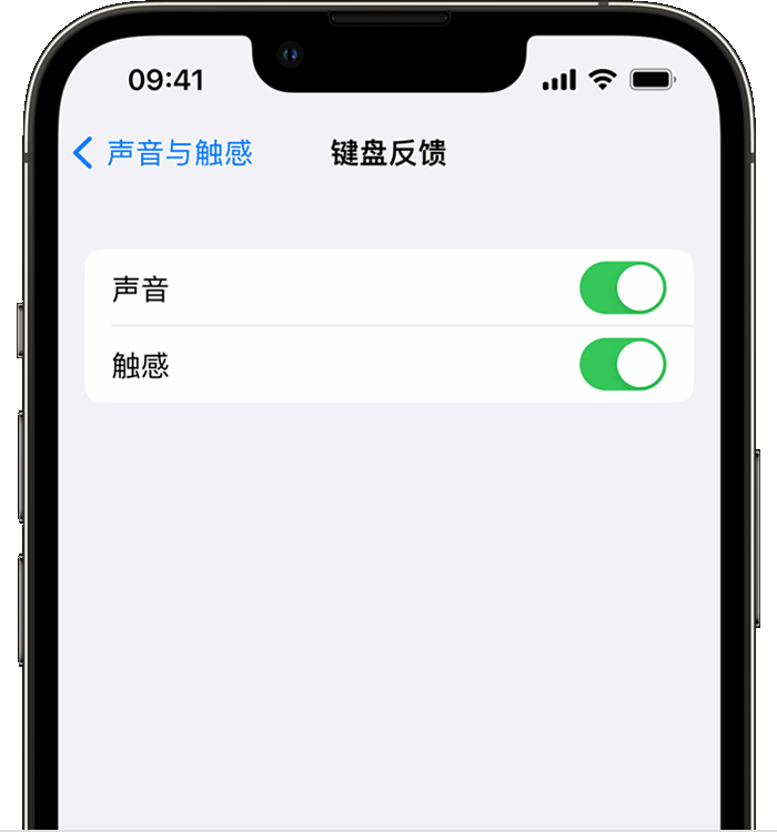 融水苹果14维修店分享如何在 iPhone 14 机型中使用触感键盘 