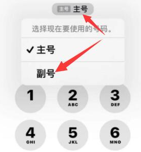 融水苹果14维修店分享iPhone 14 Pro Max使用副卡打电话的方法 