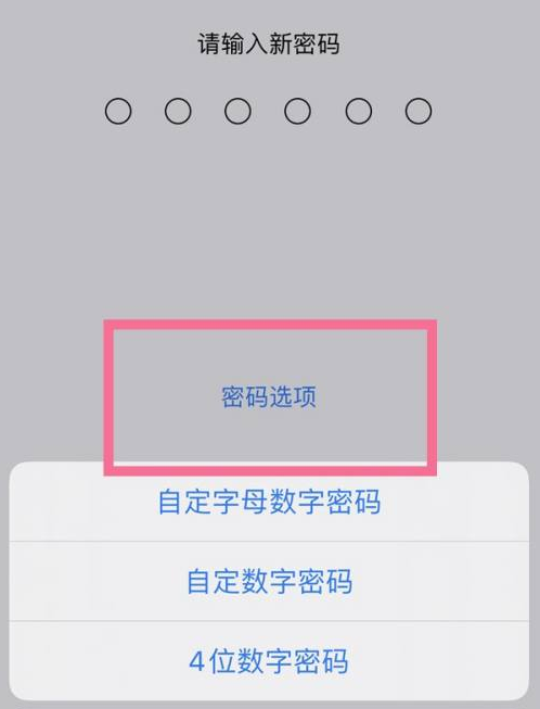 融水苹果14维修分享iPhone 14plus设置密码的方法 