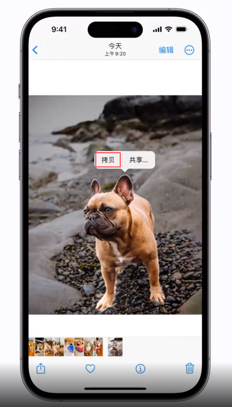 融水苹果手机维修分享 iOS 16 自带一键抠图功能 