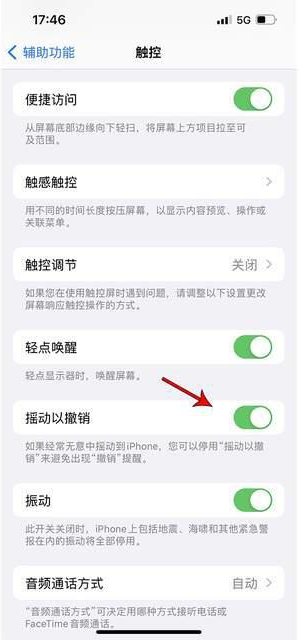 融水苹果手机维修分享iPhone手机如何设置摇一摇删除文字 