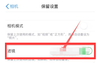 融水苹果13维修分享iPhone13拍照有绿点是怎么回事 