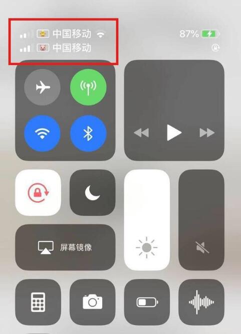 融水苹果手机维修分享为 iPhone 12 双卡设置标签 